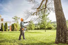Best Lot and Land Clearing  in Greenbelt, MD